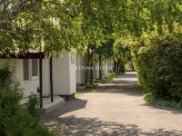 Eladó családi ház, Délegyházán 650 M Ft, 13 szobás