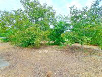 Eladó telek, Nyársapáton 14.8 M Ft / költözzbe.hu