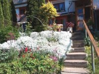 Eladó családi ház, Miskolcon, Előhegy utcában 64.99 M Ft