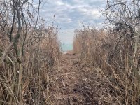Eladó telek, Balatonfüreden 99 M Ft / költözzbe.hu