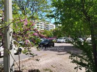 Kiadó panellakás, albérlet, XIII. kerületben 260 E Ft / hó