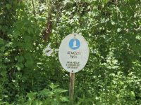 Eladó családi ház, Vízváron 189 M Ft, 5 szobás