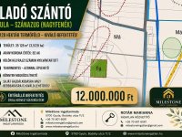 Eladó mezogazdasagi ingatlan, Gyulán 12 M Ft
