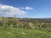 Eladó családi ház, Verőcén 54.9 M Ft, 1 szobás