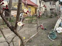 Eladó családi ház, XIX. kerületben 75.5 M Ft, 2 szobás