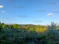 Eladó telek, Törökbálinton 67 M Ft / költözzbe.hu