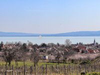 Eladó telek, Balatonakaliban 119 M Ft / költözzbe.hu