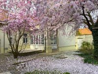 Kiadó családi ház, albérlet, Kecskeméten 794 E Ft / hó