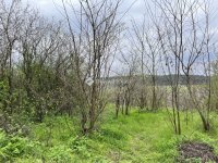 Eladó telek, Bagon, Szőlő utcában 5 M Ft / költözzbe.hu