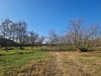 Eladó telek, Komáromban 140 M Ft / költözzbe.hu