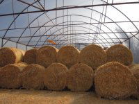 Eladó mezogazdasagi ingatlan, Lajosmizsén 307.5 M Ft