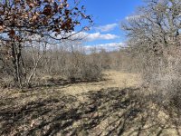 Eladó telek, Dörgicsén 12 M Ft / költözzbe.hu