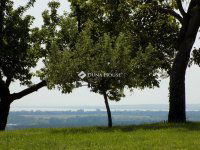 Eladó telek, Alsópáhokon 16 M Ft / költözzbe.hu