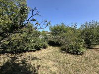 Eladó telek, Szentendrén 50.9 M Ft / költözzbe.hu