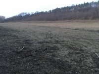Eladó mezogazdasagi ingatlan, Pakson 230 M Ft