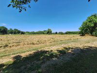 Eladó telek, Zalacsányon 89.9 M Ft / költözzbe.hu