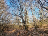 Eladó mezogazdasagi ingatlan