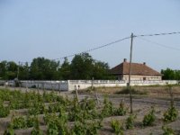 Eladó mezogazdasagi ingatlan, Orgoványon 21.9 M Ft, 5 szobás