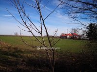 Eladó mezogazdasagi ingatlan, Kecskeméten 39 M Ft