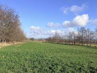 Eladó telek, Tatán 120 M Ft / költözzbe.hu