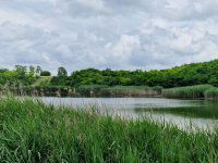 Eladó mezogazdasagi ingatlan, Lajoskomáromban 235 M Ft