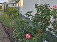 Eladó téglalakás, Komáromban 22 M Ft, 1 szobás