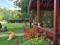 Eladó ipari ingatlan, Kecskeméten 260 M Ft / költözzbe.hu