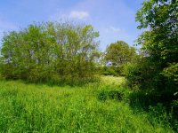 Eladó telek, Kisgörbőn 3.9 M Ft, 2 szobás / költözzbe.hu