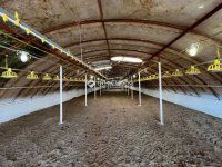 Eladó mezogazdasagi ingatlan, Bugacon 170 M Ft