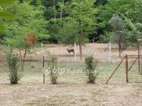 Eladó mezogazdasagi ingatlan