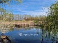 Eladó családi ház, Dávodon 43 M Ft, 2+1 szobás