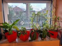 Eladó családi ház, XVII. kerületben 108.9 M Ft, 3 szobás