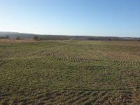 Eladó mezogazdasagi ingatlan