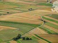 Eladó mezogazdasagi ingatlan, Csemőn 32 M Ft