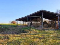 Eladó mezogazdasagi ingatlan