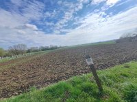 Eladó telek, Felsőrajkon 2.1 M Ft / költözzbe.hu