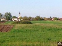 Eladó mezogazdasagi ingatlan, Újhartyánon 1.5 M Ft
