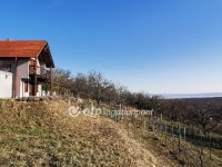 Eladó mezogazdasagi ingatlan, Monoszlón 64.5 M Ft