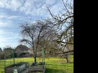 Eladó téglalakás, Lentiben 27.59 M Ft, 1 szobás