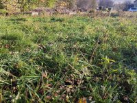 Eladó telek, Vigántpetenden 18.4 M Ft / költözzbe.hu