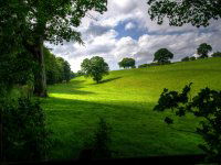 Eladó telek, Újszilváson 7 M Ft / költözzbe.hu