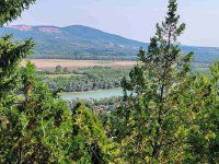 Eladó nyaraló, Dunabogdányban 42.9 M Ft, 4 szobás