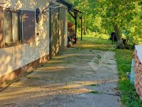 Eladó családi ház, Somlószőlősön 149.9 M Ft, 6 szobás