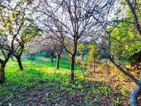 Eladó családi ház, Zalaszántón 39.9 M Ft, 3 szobás