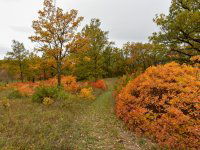 Eladó telek, Pécselyen 24.99 M Ft / költözzbe.hu