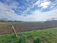 Eladó telek, Felsőrajkon 2.2 M Ft / költözzbe.hu