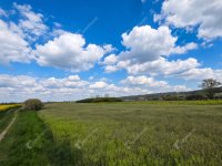 Eladó telek, Mályin 6.99 M Ft / költözzbe.hu