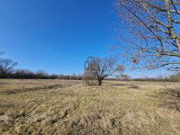 Eladó mezogazdasagi ingatlan, Környén 75 M Ft