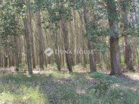 Eladó mezogazdasagi ingatlan