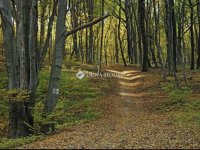 Eladó telek, Abaligeten 11.9 M Ft / költözzbe.hu